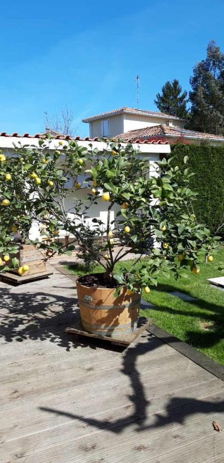 Chez Jeanfi Bed & Breakfast Fronsac  Exterior foto
